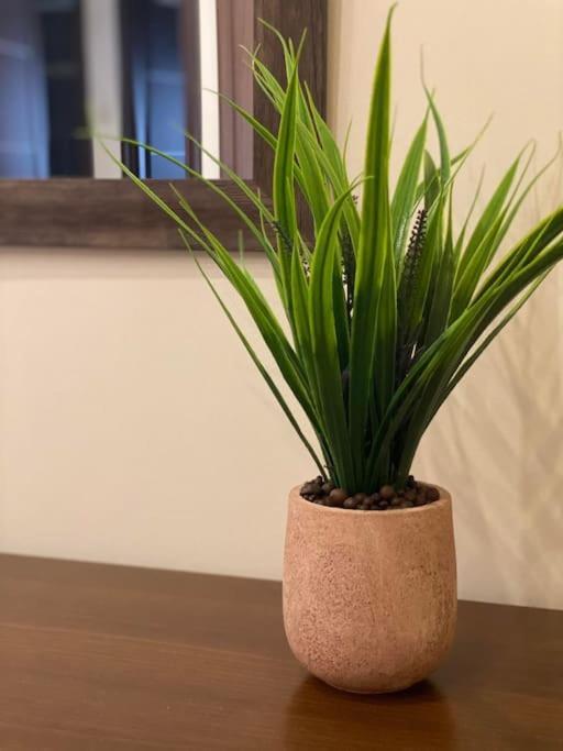 Central Garden Boutique Θεσσαλονίκη Εξωτερικό φωτογραφία