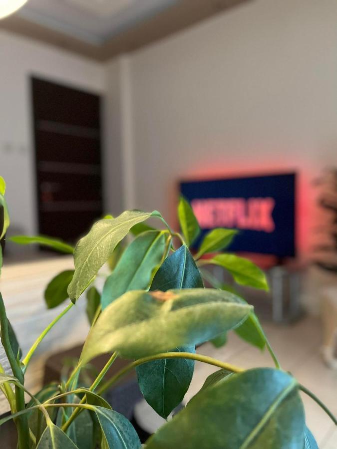 Central Garden Boutique Θεσσαλονίκη Εξωτερικό φωτογραφία